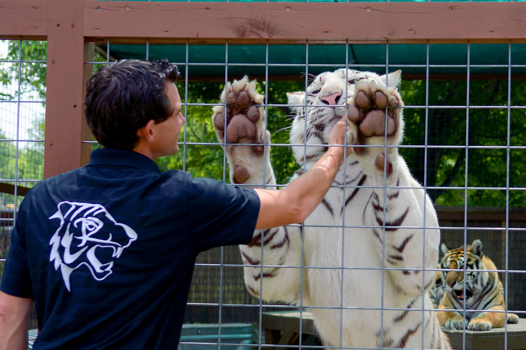 072419-bara-news-circus-world-11 (copy)